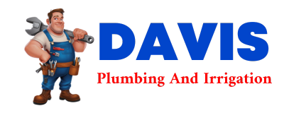 Trusted plumber in FORTVILLE